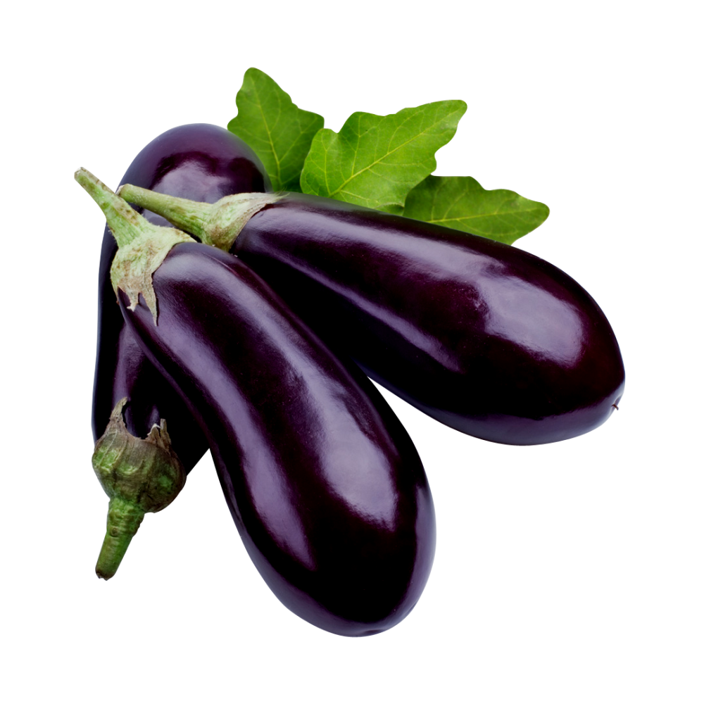 aubergine