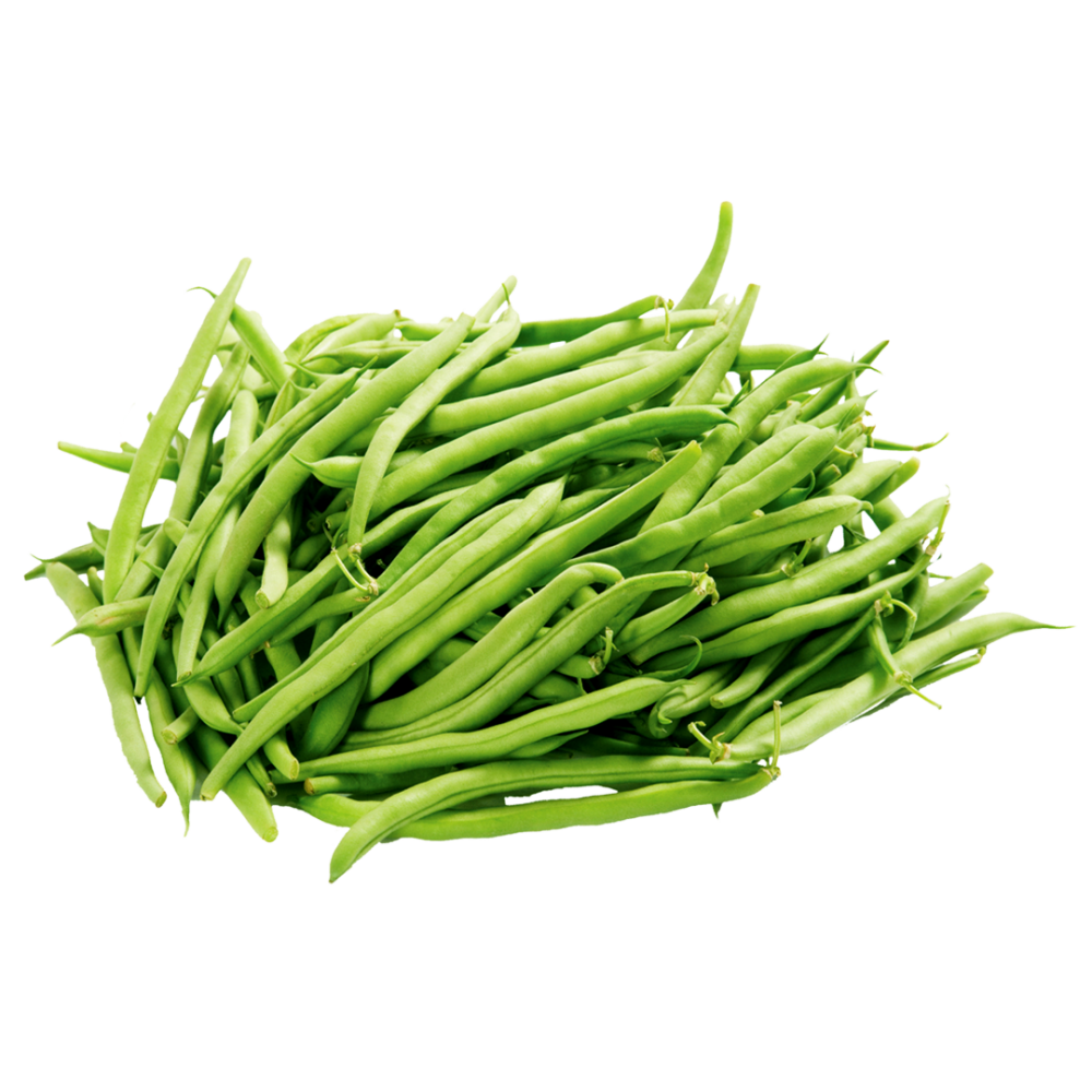 haricot